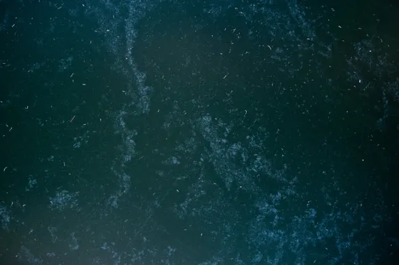 Tournaverse Cazino Cazinou Suport